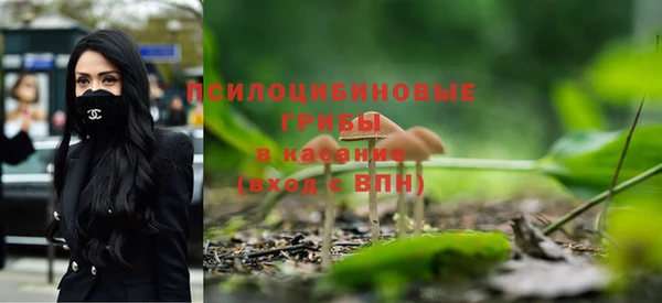 герыч Снежинск