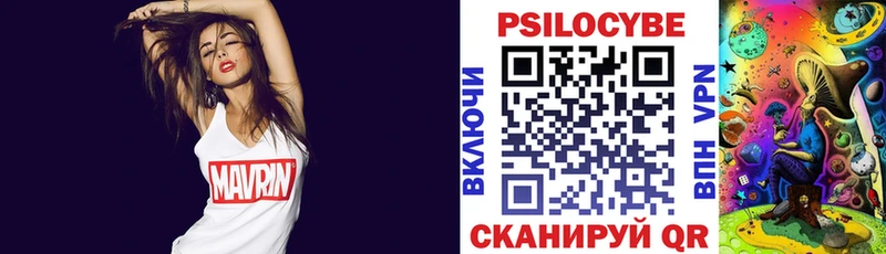 Псилоцибиновые грибы мицелий  Салаир 